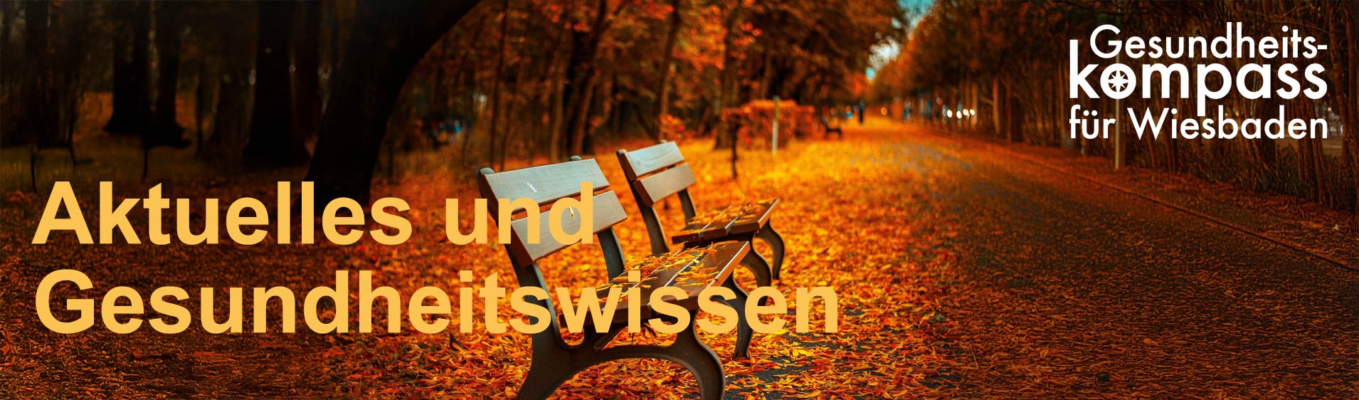 Ein gesundes Wiesbaden - Gesundheitswissen 